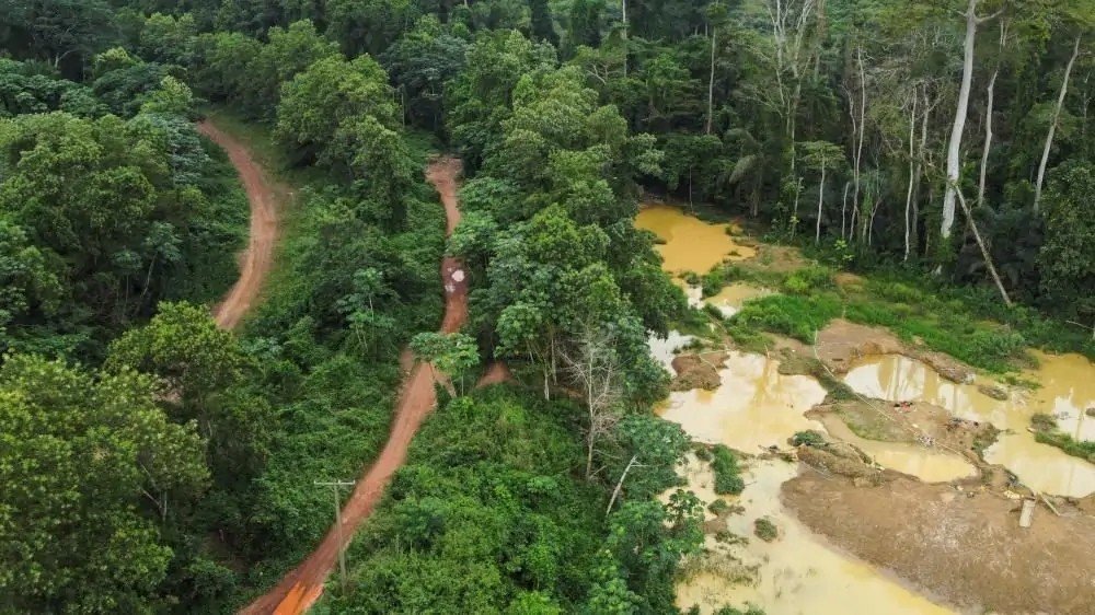 Government Must Take Decisive Action Against Galamsey – Coalition